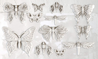 monarch, butterfly, bugs