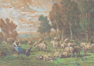 Pastoral Sheep, JRV, Rice Paper, A4, 8.25 x 11.60