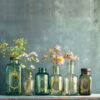 lost garden, garden, floral, romantic,iod, transfer