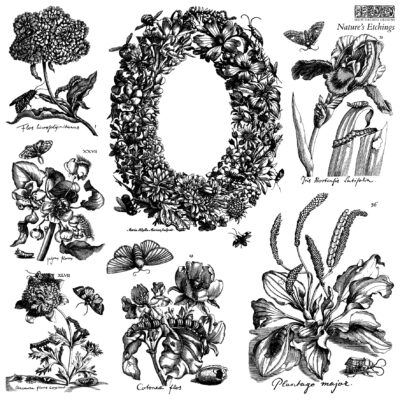 IOD, Nature's Etchings, Stamp
